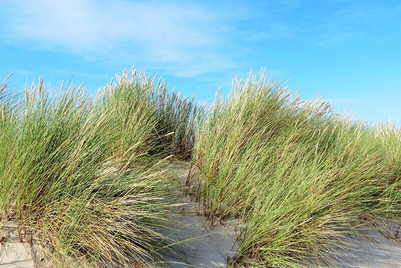 Hotel Villa Strandkorb - Arrangement Strandkorb Aktiv